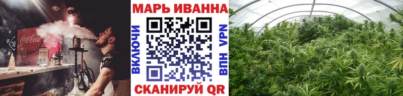 Бошки Шишки гибрид  Сычёвка 
